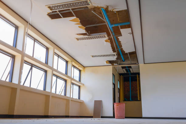 Best Water damage restoration mold remediation  in Whitmore Lake, MI