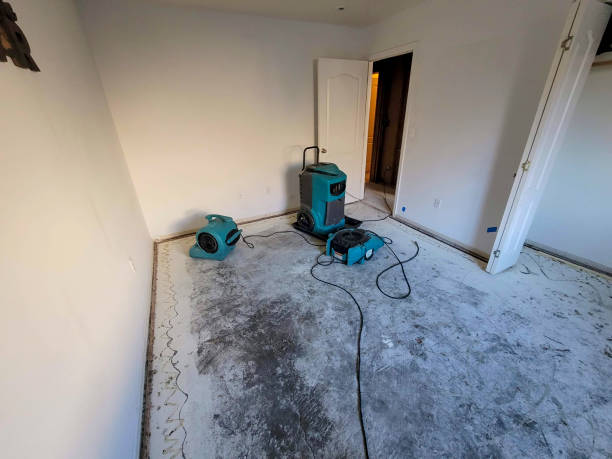 Best Professional water damage repair  in Whitmore Lake, MI