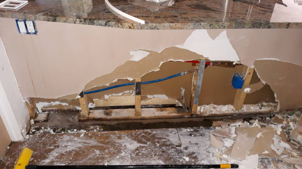 Best Commercial water damage restoration  in Whitmore Lake, MI