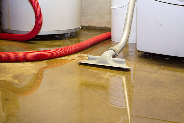 Best 24/7 water damage repair  in Whitmore Lake, MI