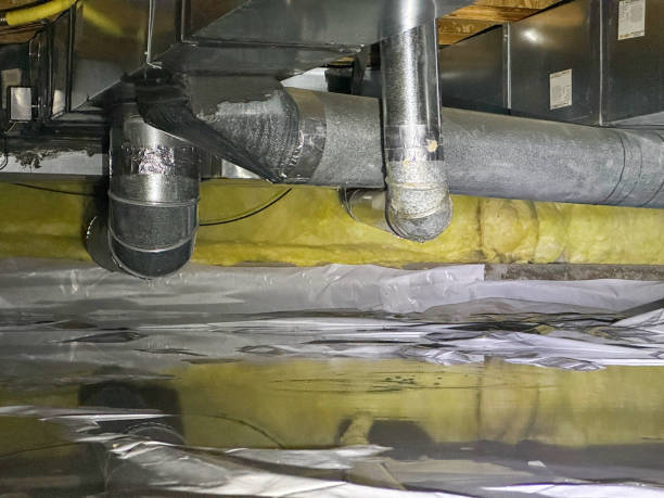 Best Local water damage restoration  in Whitmore Lake, MI
