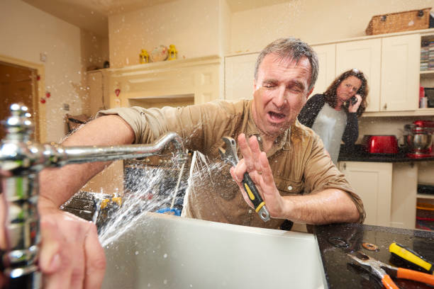 Best Water damage contractors near me  in Whitmore Lake, MI
